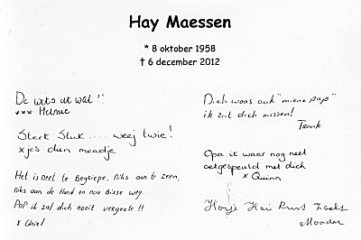 Hay Maessen-2